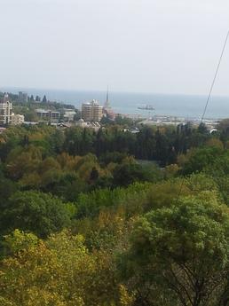 1 euro office park 