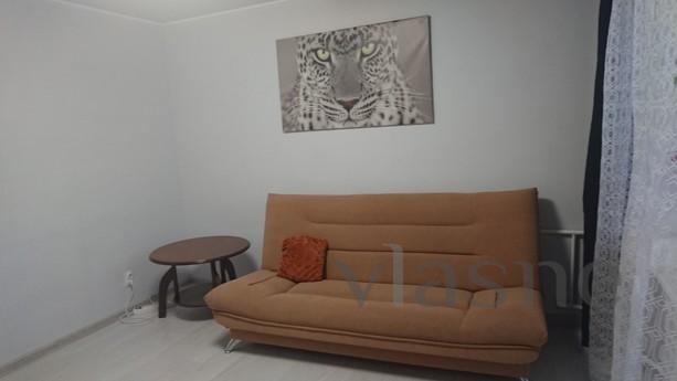 2-room apartment on Bolshaya Sadovaya, Rostov-on-Don - apartment by the day