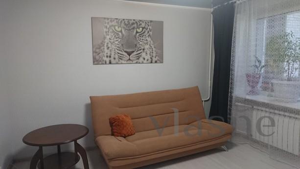 2-room apartment on Bolshaya Sadovaya, Rostov-on-Don - apartment by the day