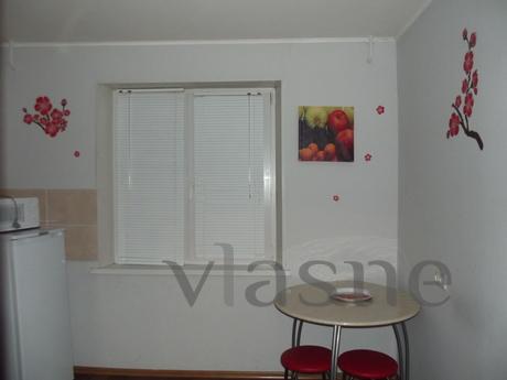 Beautiful apartment with an ice arena &q, Magnitogorsk - apartment by the day