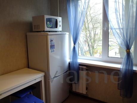 Cozy apartment for you!, Saint Petersburg - apartment by the day