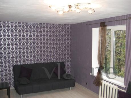 1 room apartment 5 minuts from mKuzminki, Moscow - apartment by the day
