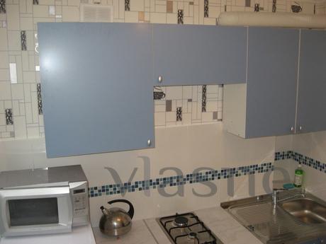 1 room apartment 5 minuts from mKuzminki, Moscow - apartment by the day