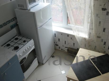 2 room apartment 5 minuts from mKuzminki, Moscow - apartment by the day