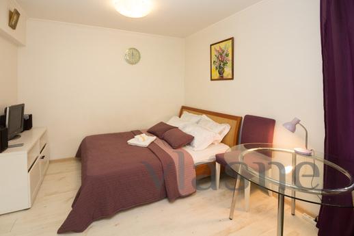 Dear guests, we offer you a cozy, bright and beautiful busin