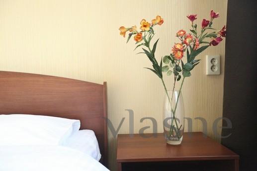 Great 2k flat on Berezhkovskaya nab, Moscow - apartment by the day