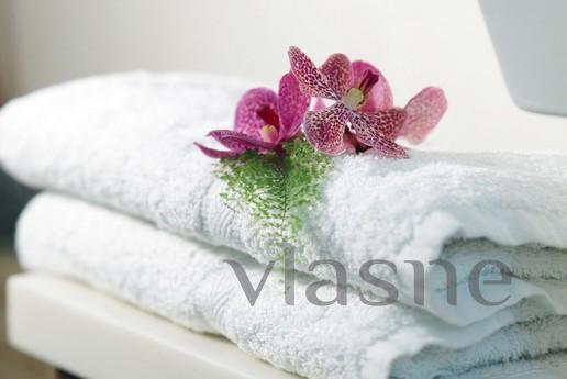 Comfortable 3-bedroom apartment, Moscow - apartment by the day