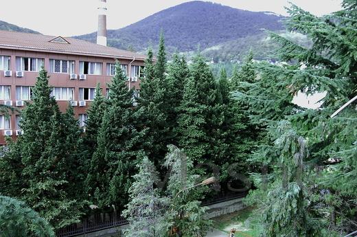 One bedroom apartment in Lazarite, Sochi - apartment by the day