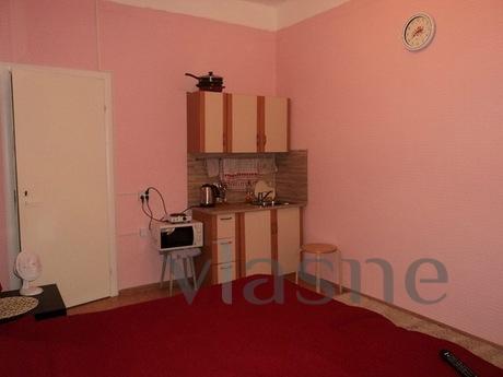 1 room apartment in the city center, Saint Petersburg - apartment by the day