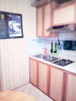 1 bedroom apartment near the metro, Moscow - apartment by the day