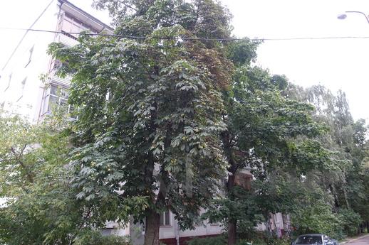 1 bedroom apartment near the metro, Moscow - apartment by the day
