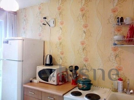 SDAM m.Ladozhskaya-THE DAY, Saint Petersburg - apartment by the day