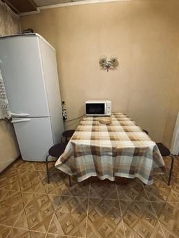 Cozy apartment near the Embankment, Tambov - apartment by the day