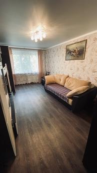 Cozy apartment near the Park, Tambov - apartment by the day