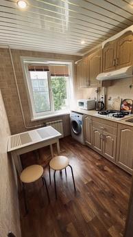 Cozy apartment near the Park, Tambov - apartment by the day