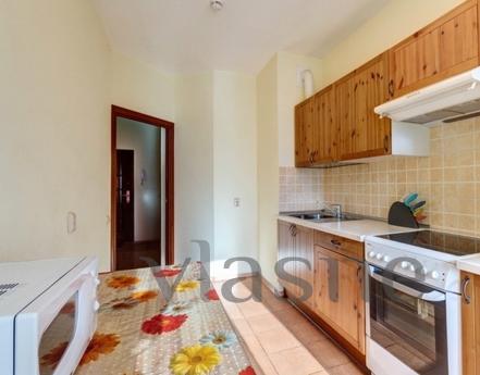 Excellent flat business class, Saint Petersburg - apartment by the day