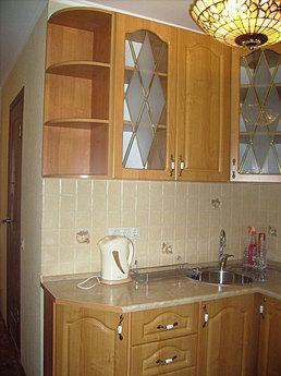 Cozy apartment for rent in the Central district of the str. 