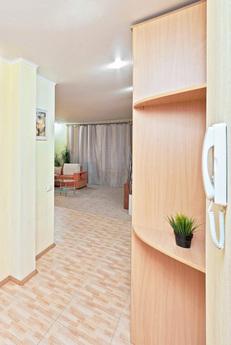 Comfortable and spacious apartment - stu, Yekaterinburg - apartment by the day