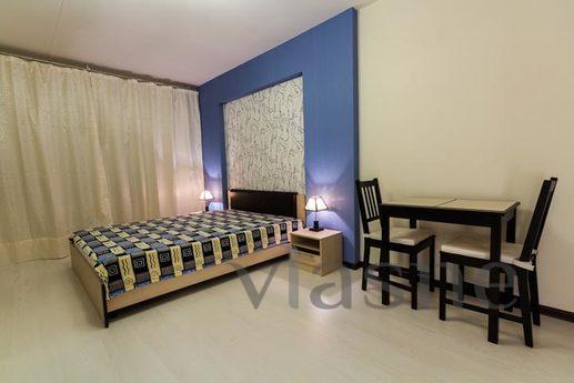Studio apartment close to the subway, Moscow - apartment by the day