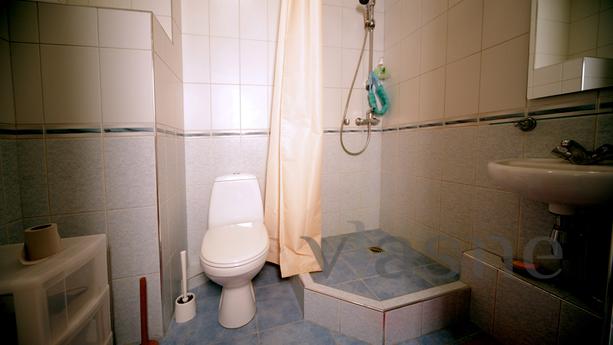 1 apartment for rent Mayakovskaya, Saint Petersburg - apartment by the day