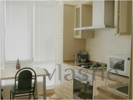 Spacious two-bedroom apartment near, Moscow - apartment by the day