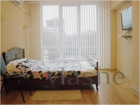 Spacious two-bedroom apartment near, Moscow - apartment by the day