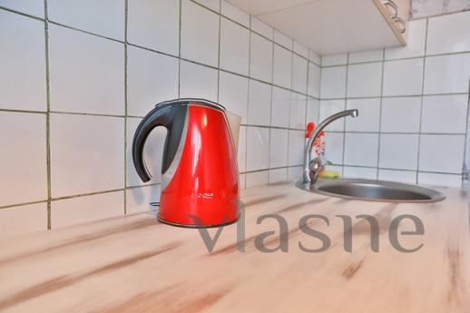 Apartment for Rent 'Friendship', Moscow - apartment by the day