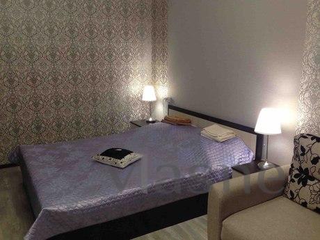 Bright and spacious one bedroom apartment with renovated and