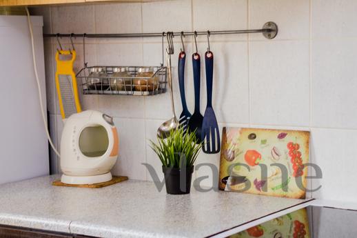 Apartment in Novokosino, Moscow - apartment by the day