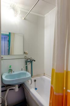 One bedroom apartment on Kolomna, Moscow - apartment by the day