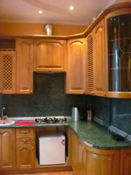Cozy apartment for rent in Moscow, Moscow - apartment by the day