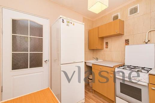 Cozy 1 BR. apartment in the center, Yekaterinburg - apartment by the day