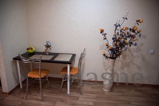Apartment for daily rent. Owner., Penza - apartment by the day