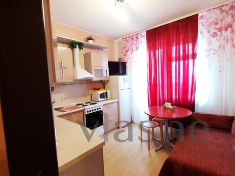 cozy apartment in the center of the day, Voronezh - apartment by the day