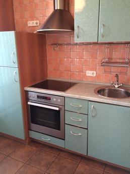 Nice 2 bedroom apartment, Moscow - apartment by the day