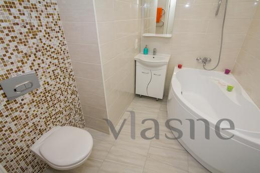 Apartment with designer renovation, Mytishchi - apartment by the day
