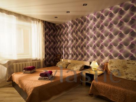 Comfortable stylish apartment with new European-quality reno