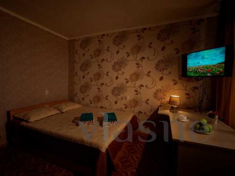 Large, bright, comfortable one-room apartment in the city ce