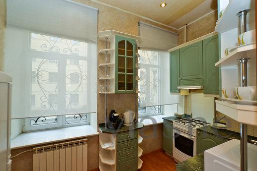 The apartment is next to the Palace., Saint Petersburg - apartment by the day