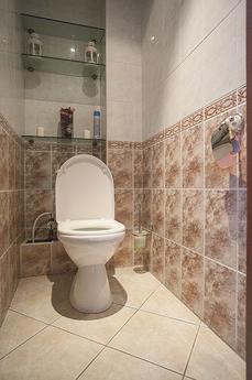 The apartment renovation in the center, Saint Petersburg - apartment by the day