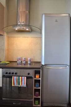 Comfortable apartment near the station., Moscow - apartment by the day