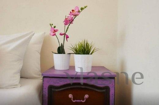 For rent studio in the center, Krasnodar - apartment by the day
