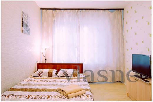 1k apartment for rent by owner, Saint Petersburg - apartment by the day