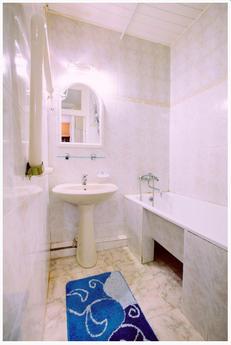 1k apartment for rent by owner, Saint Petersburg - apartment by the day
