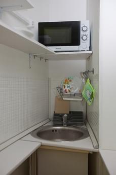 Studio overlooking the rooftops in the h, Saint Petersburg - apartment by the day
