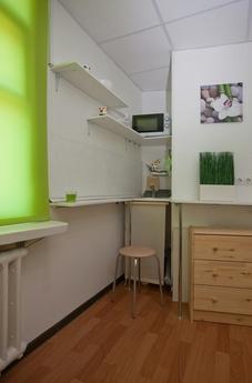 Studio overlooking the rooftops in the h, Saint Petersburg - apartment by the day
