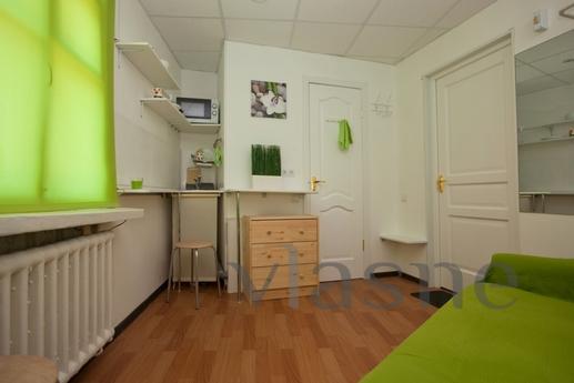 Studio overlooking the rooftops in the h, Saint Petersburg - apartment by the day