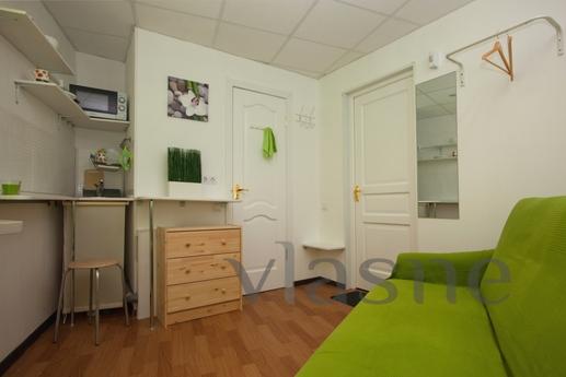 Studio overlooking the rooftops in the h, Saint Petersburg - apartment by the day