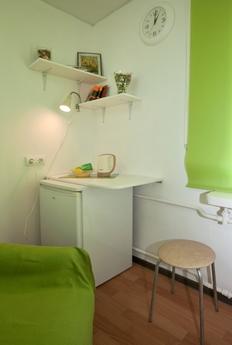 Studio overlooking the rooftops in the h, Saint Petersburg - apartment by the day