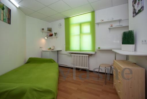 Studio overlooking the rooftops in the h, Saint Petersburg - apartment by the day